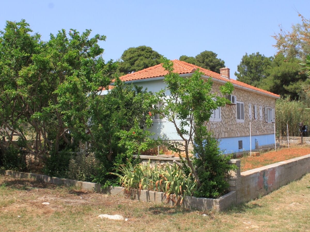 Apartment Two bedroom apartment near beach Ugljan A-828-a - Outdoor photo 3