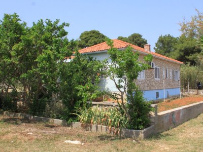 Apartment Two bedroom apartment near beach Ugljan A-828-a - Outdoor photo 3