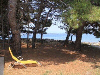 Apartment Two bedroom apartment near beach Ugljan A-828-a - Outdoor photo 6