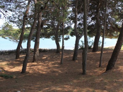 Apartment Two bedroom apartment near beach Ugljan A-828-a - Outdoor photo 7