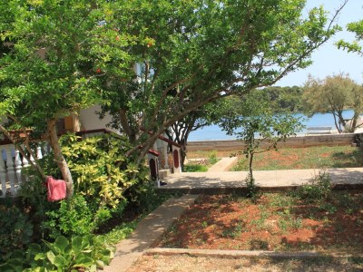 Apartment Two bedroom apartment near beach Ugljan A-828-a - Outdoor photo 8