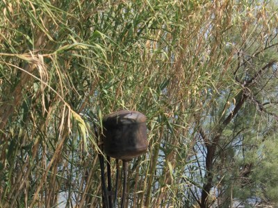 Apartment Two bedroom apartment near beach Ugljan A-828-a - Outdoor photo 10