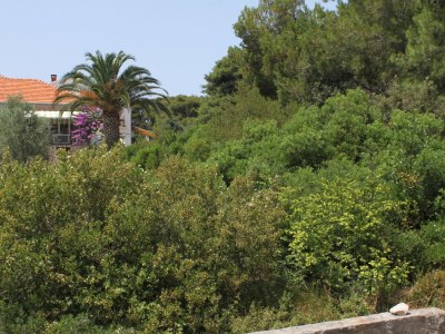 Apartment Two bedroom apartment near beach Ugljan A-828-a - Outdoor photo 28