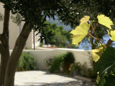 Apartment One bedroom apartment with terrace and sea view Pisak, Omiš A-1004-b - Outdoor photo 8