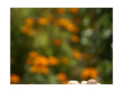 Apartment One bedroom apartment with terrace and sea view Pisak, Omiš A-1004-b - Outdoor photo 12