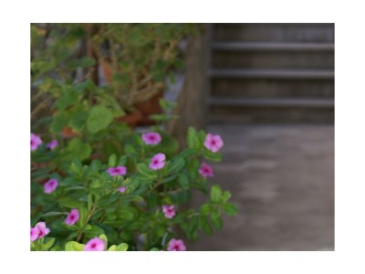 Apartment One bedroom apartment with terrace and sea view Pisak, Omiš A-1004-b - Outdoor photo 13