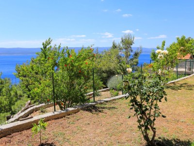 Apartment Three bedroom apartment with terrace and sea view Marušići, Omiš A-1024-a - Outdoor photo 9