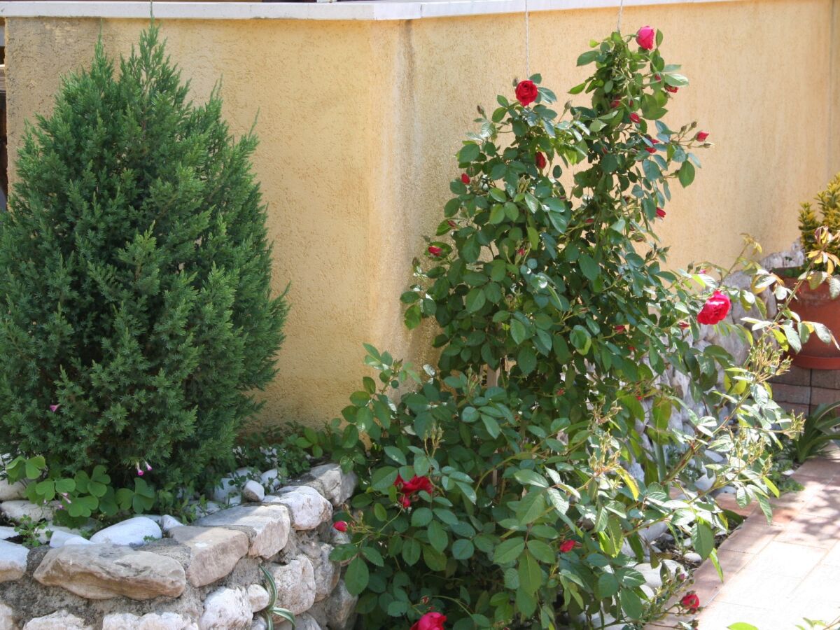 Apartment One bedroom apartment near beach Promajna, Makarska A-2674-b - Outdoor photo 3