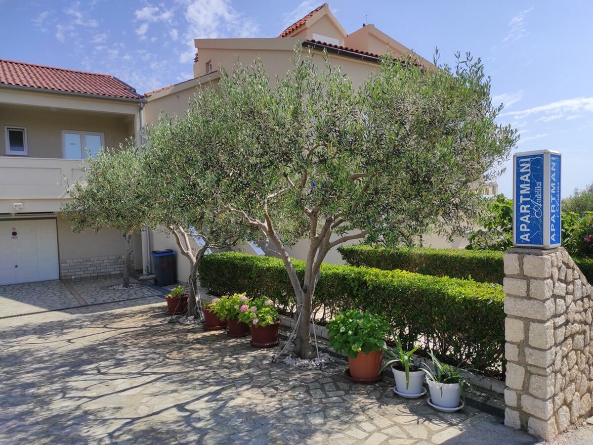 Apartment Apartments by the sea Mandre, Pag - 23187 - Apartments by the sea Mandre, Pag - 23187 - Outdoor photo 4