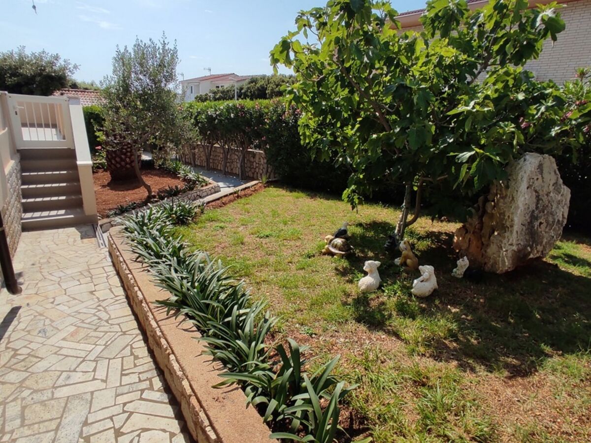 Apartment Apartments by the sea Mandre, Pag - 23187 - Apartments by the sea Mandre, Pag - 23187 - Outdoor photo 5