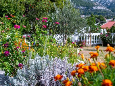 Apartment Two bedroom apartment with terrace and sea view Banjol, Rab A-5022-a - Outdoor photo 9