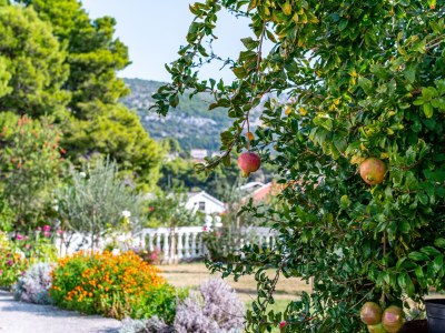 Apartment Two bedroom apartment with terrace and sea view Banjol, Rab A-5022-a - Outdoor photo 11