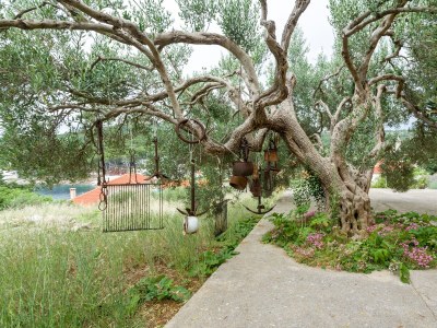 Apartment Two bedroom apartment with terrace and sea view Božava, Dugi otok A-23903-a - Outdoor photo 9