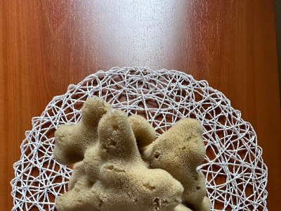 Apartment Two bedroom apartment with terrace and sea view Božava, Dugi otok A-23903-a - Outdoor photo 13