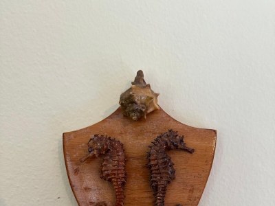 Apartment Two bedroom apartment with terrace and sea view Božava, Dugi otok A-23903-a - Outdoor photo 14