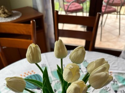 Apartment Two bedroom apartment with terrace and sea view Božava, Dugi otok A-23903-a - Outdoor photo 17