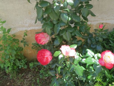 Apartment Two bedroom apartment with balcony Malinska, Krk A-19965-a - Outdoor photo 4