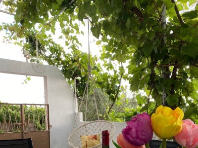 Apartment One bedroom apartment with terrace and sea view Ivan Dolac, Hvar A-22459-a - Outdoor photo 18