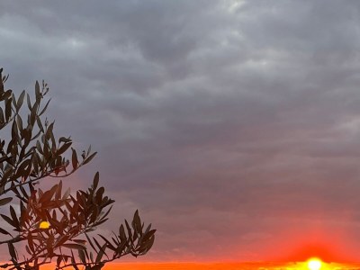Apartment One bedroom apartment with terrace and sea view Ivan Dolac, Hvar A-22459-a - Outdoor photo 22
