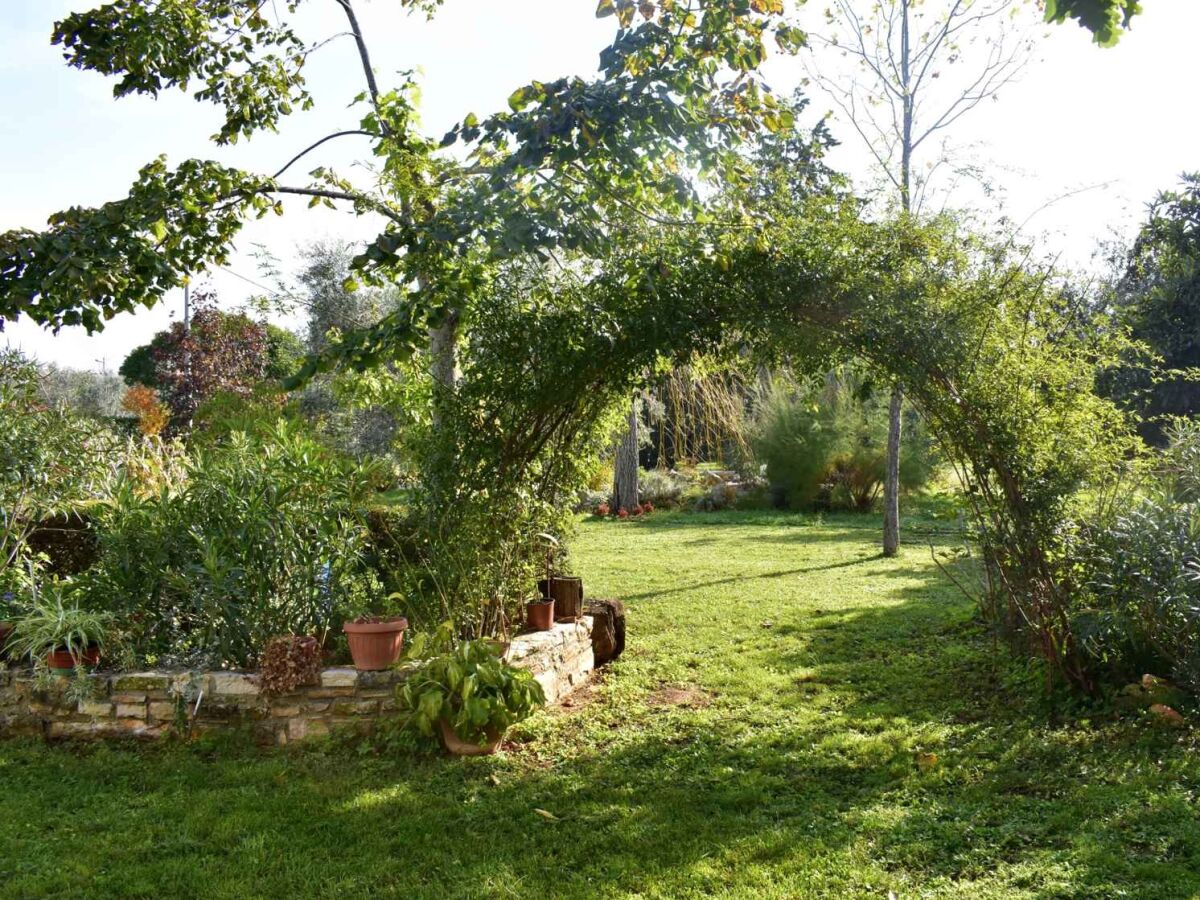 Apartment One bedroom apartment with balcony Sosi, Umag A-22546-a - Outdoor photo 5