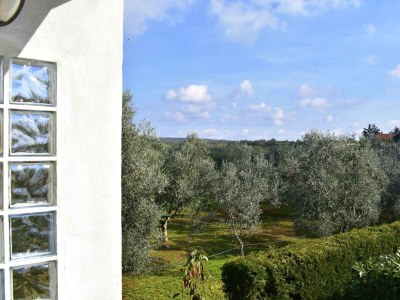 Apartment One bedroom apartment with balcony Sosi, Umag A-22546-a - Outdoor photo 22