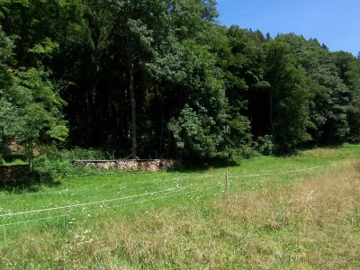 Holiday apartment At the Forest Spring - Outdoor photo 7