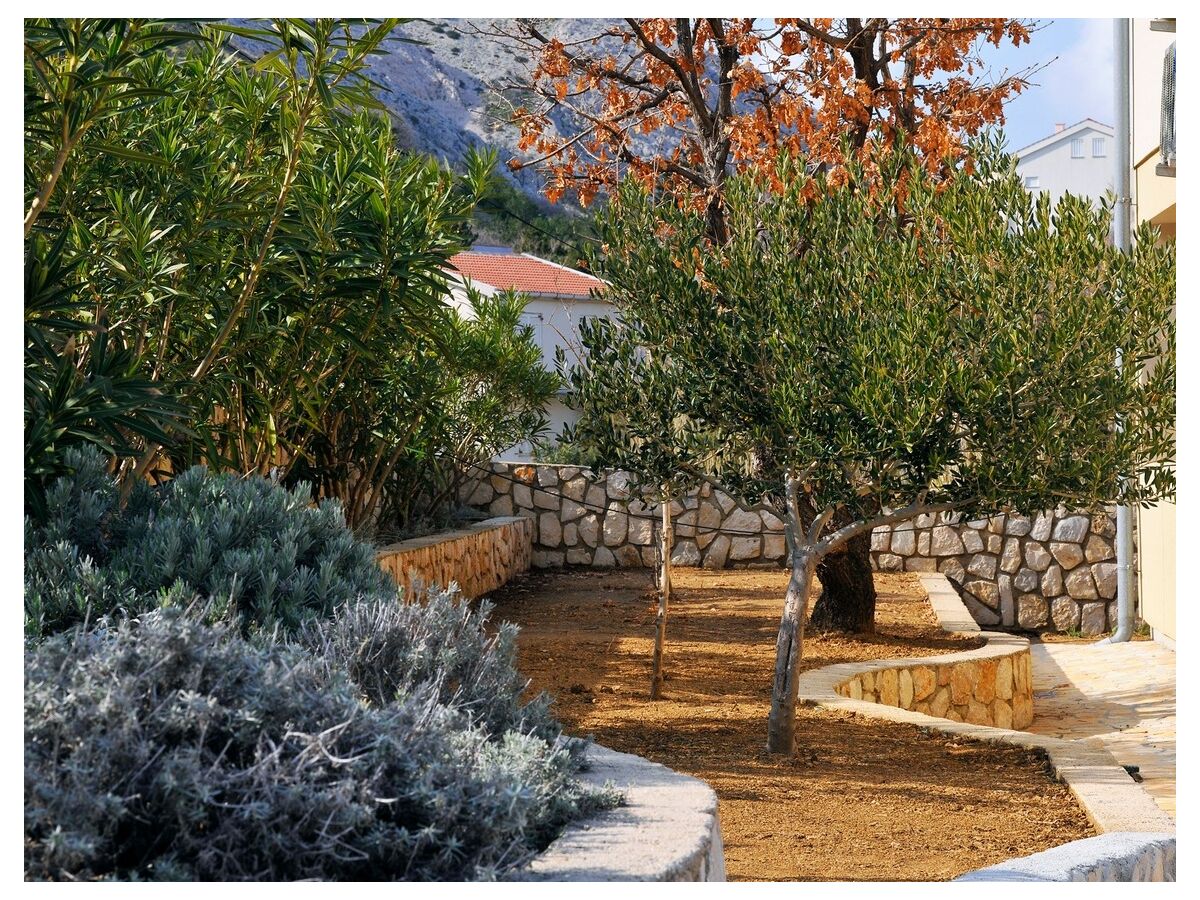 Apartment Two bedroom apartment with terrace and sea view Bošana, Pag A-22692-c - Outdoor photo 5