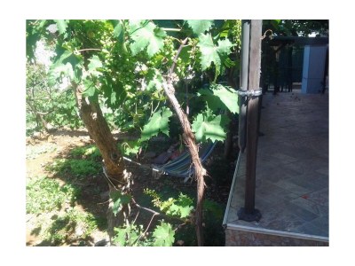 Apartment Two bedroom apartment with terrace Šibenik A-23791-a - Outdoor photo 9