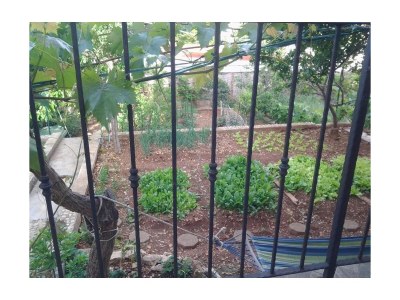 Apartment Two bedroom apartment with terrace Šibenik A-23791-a - Outdoor photo 10