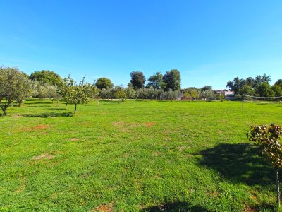 Holiday house Comfortable and spacious house with terrace Šišan, Medulin K-20775 - Outdoor photo 9