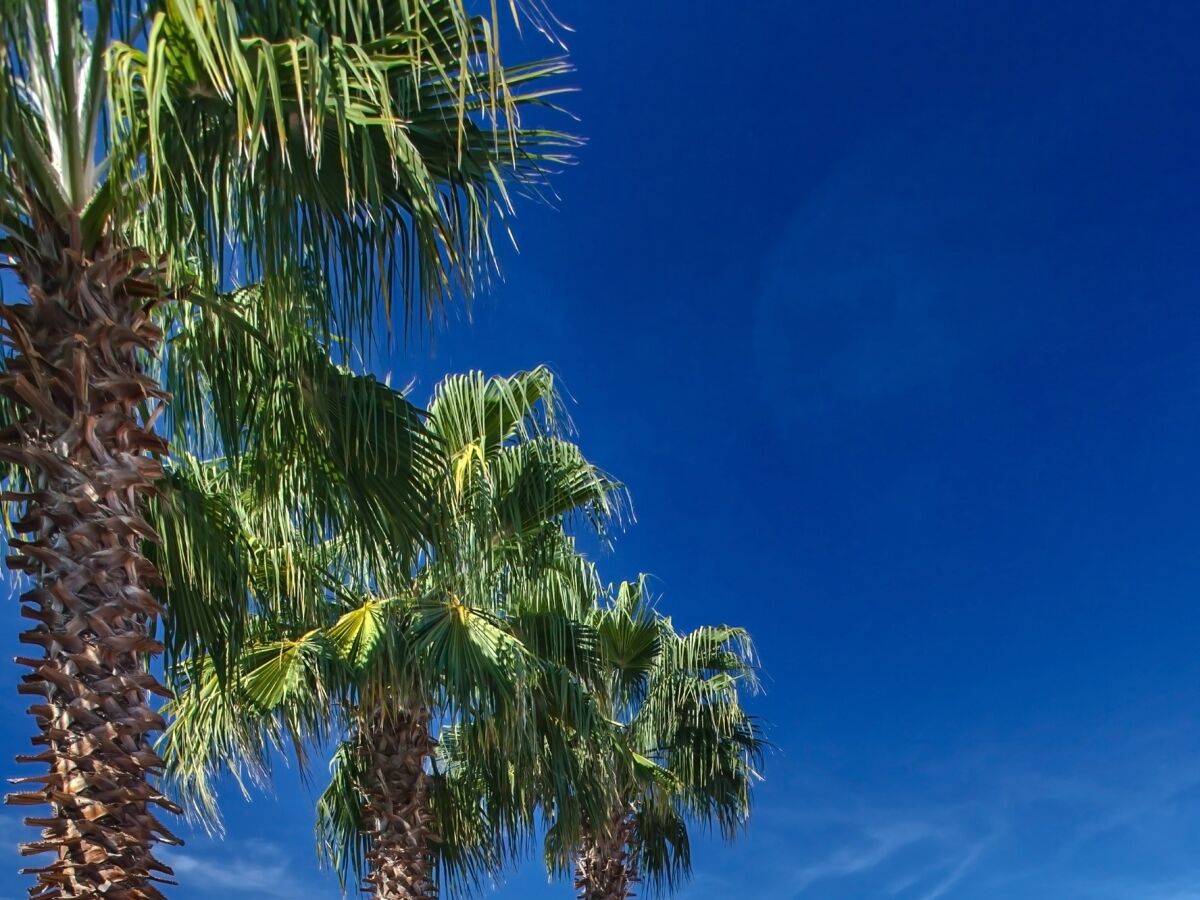 Holiday house Three bedroom house with terrace Sumartin, Brač K-21247 - Outdoor photo 5