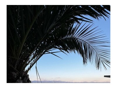 Holiday house Comfortable and spacious house with terrace and sea view Opatija K-23833 - Outdoor photo 5