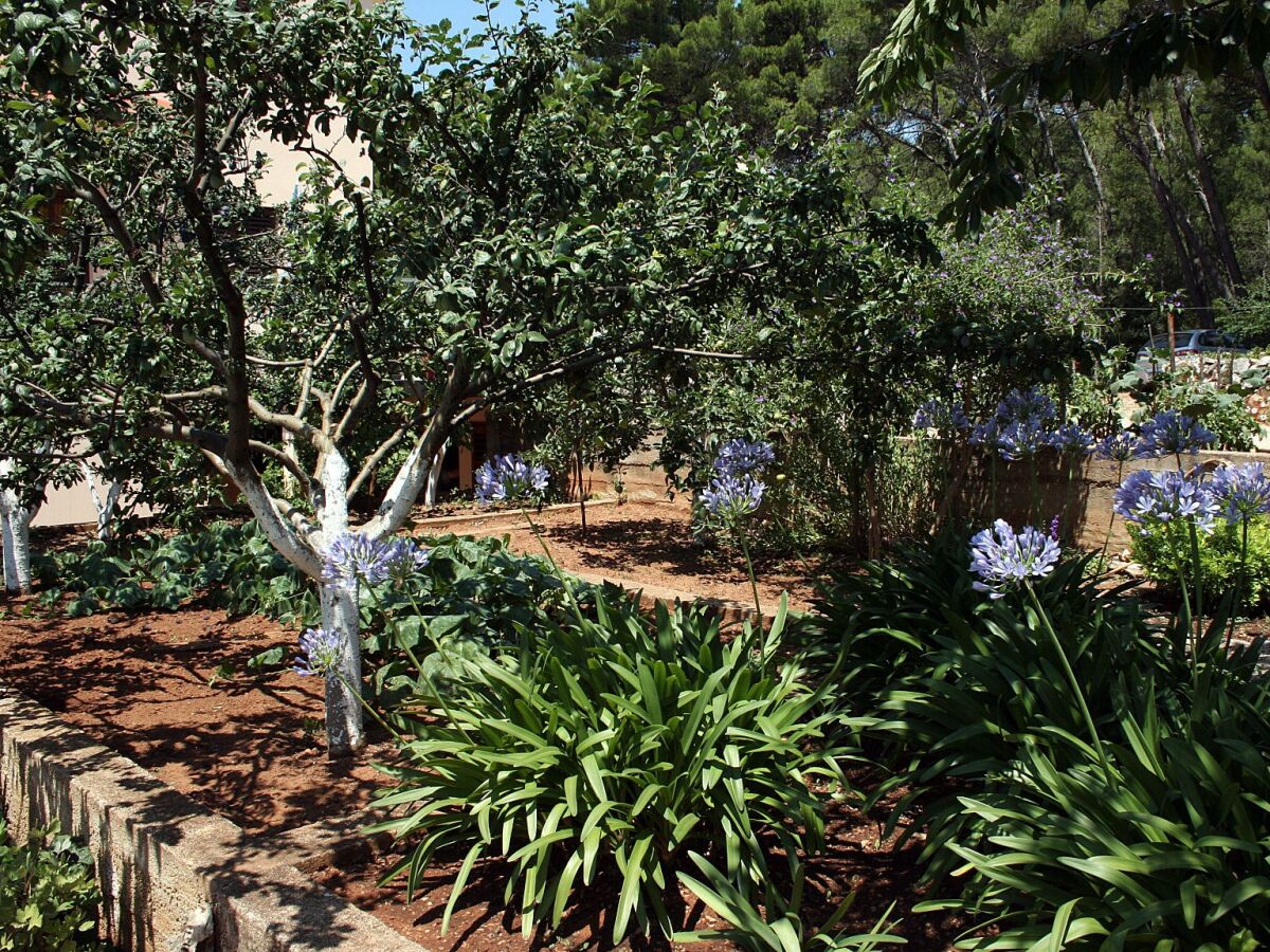 Apartment Three bedroom apartment with terrace Vrboska, Hvar A-4634-a - Outdoor photo 5