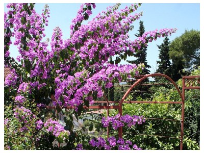 Apartment Three bedroom apartment with terrace Vrboska, Hvar A-4634-a - Outdoor photo 3