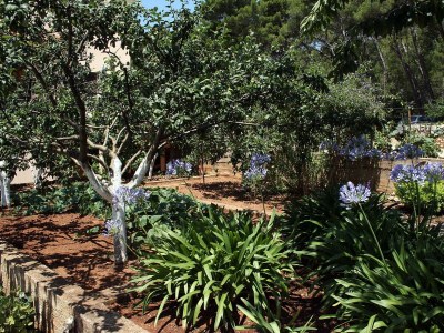 Apartment Three bedroom apartment with terrace Vrboska, Hvar A-4634-a - Outdoor photo 5