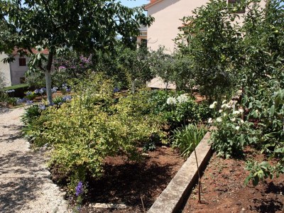 Apartment Three bedroom apartment with terrace Vrboska, Hvar A-4634-a - Outdoor photo 6