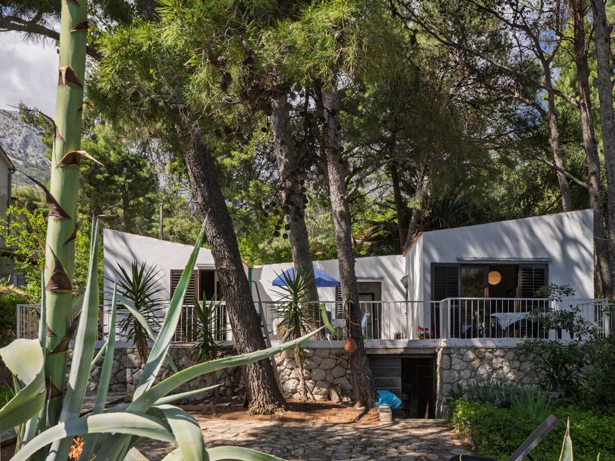 Holiday house Seaside house for families with children Ivan Dolac, Hvar - 140 - Seaside house for families with children Ivan Dolac, Hvar - 140 - Outdoor photo 3