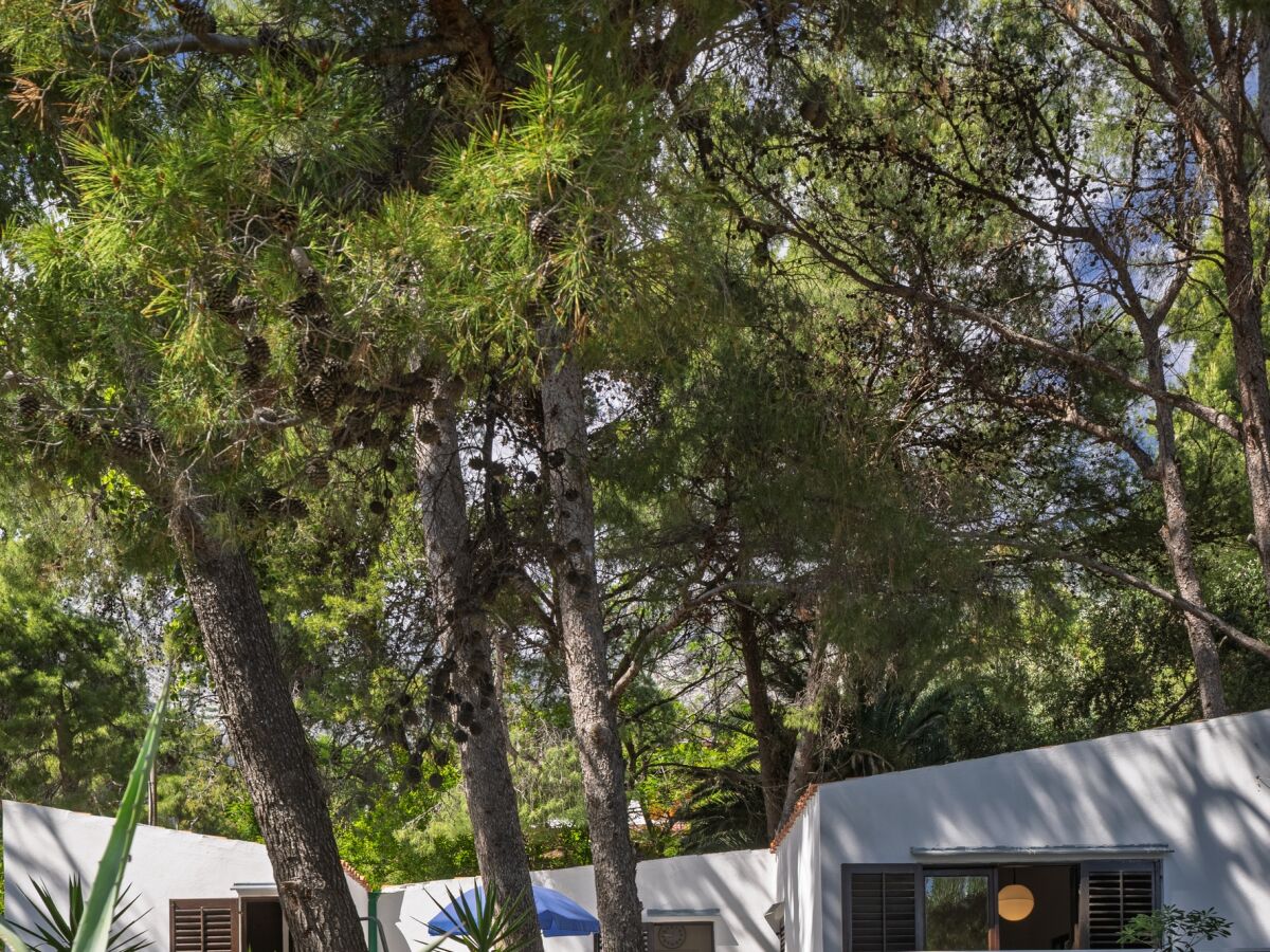 Holiday house Seaside house for families with children Ivan Dolac, Hvar - 140 - Seaside house for families with children Ivan Dolac, Hvar - 140 - Outdoor photo 4