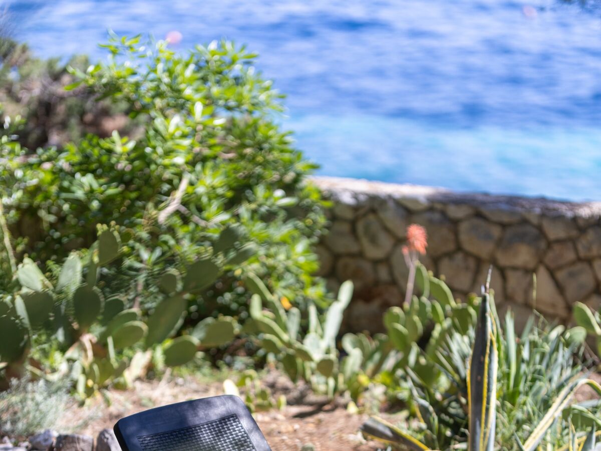 Holiday house Seaside house for families with children Ivan Dolac, Hvar - 140 - Seaside house for families with children Ivan Dolac, Hvar - 140 - Outdoor photo 5