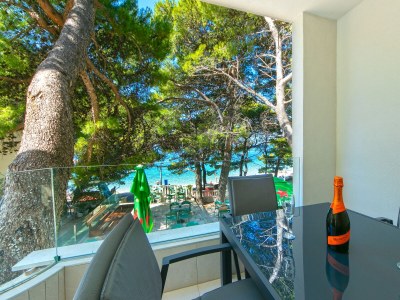 Apartment One bedroom apartment near beach Brela, Makarska A-6007-d - Outdoor photo 25