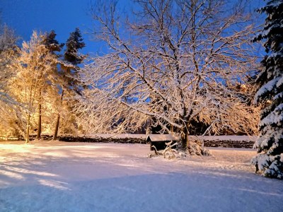 Holiday house No title - Environment photo 35