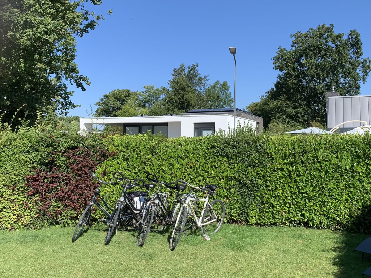 Bungalow De Zandput 4 - Outdoor photo 5