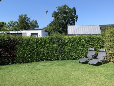 Bungalow De Zandput 4 - Outdoor photo 3