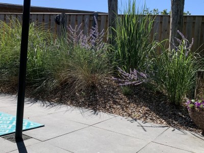 Bungalow De Zandput 4 - Outdoor photo 10