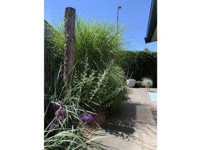 Bungalow De Zandput 4 - Outdoor photo 14