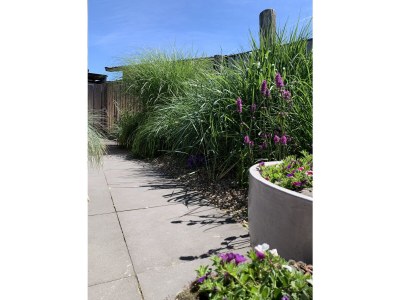 Bungalow De Zandput 4 - Outdoor photo 16