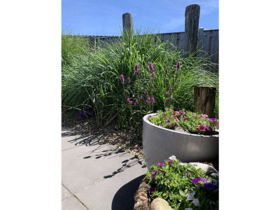 Bungalow De Zandput 4 - Outdoor photo 18