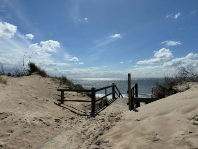 Bungalow De Zandput 4 - Outdoor photo 28