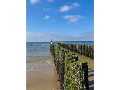 Bungalow De Zandput 4 - Outdoor photo 29