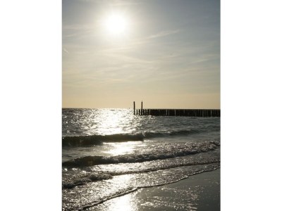 Bungalow De Zandput 4 - Outdoor photo 30